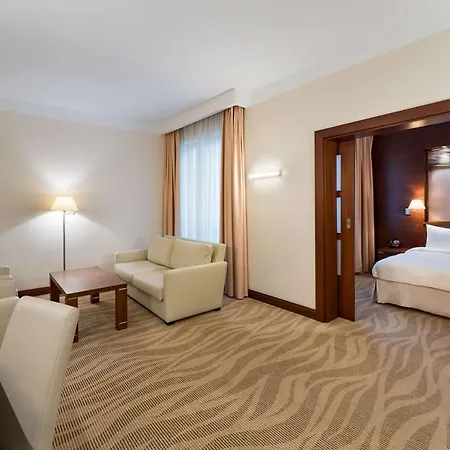 Radisson Blu Hotel, Hotel