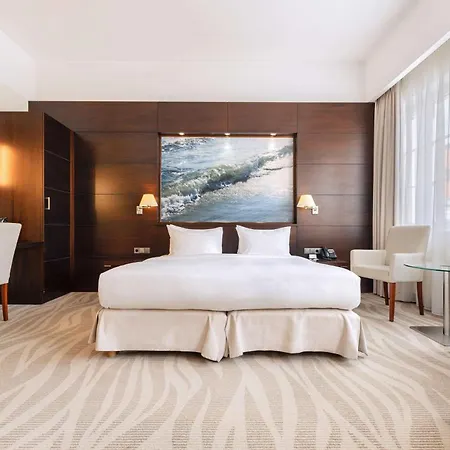 Radisson Blu Hotel, Hotel