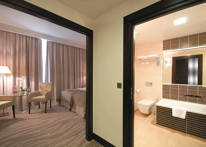 Hotel Radisson Blu Hotel,